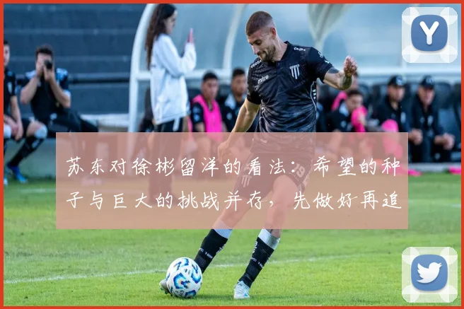 苏东对徐彬留洋的看法：希望的种子与巨大的挑战并存，先做好再追求完美