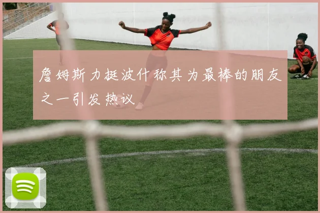 詹姆斯力挺波什称其为最棒的朋友之一引发热议