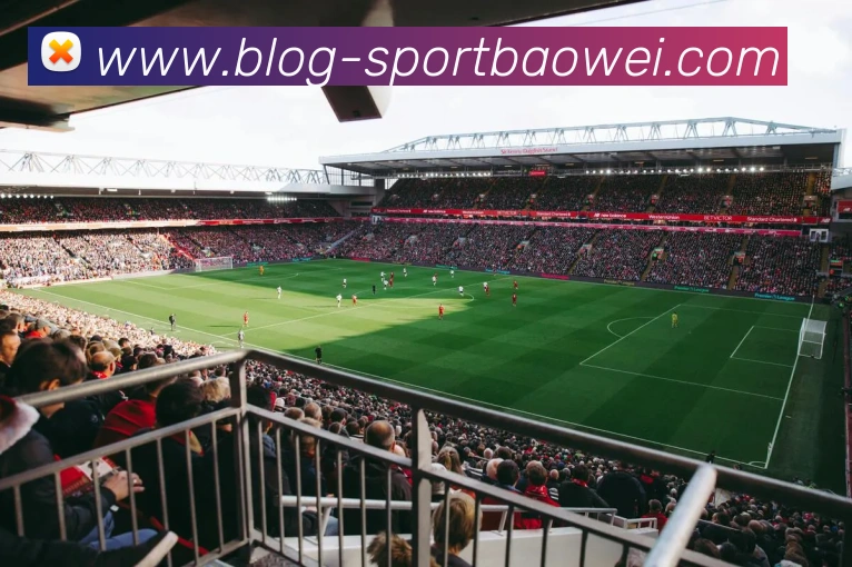 宝威体育APP 高清赛事图